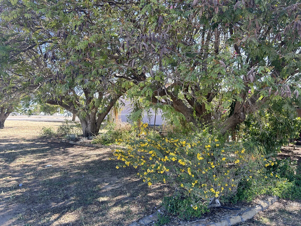 Additional image 23 of 29-31 Richmond Hill Drive, Hughenden QLD 4821