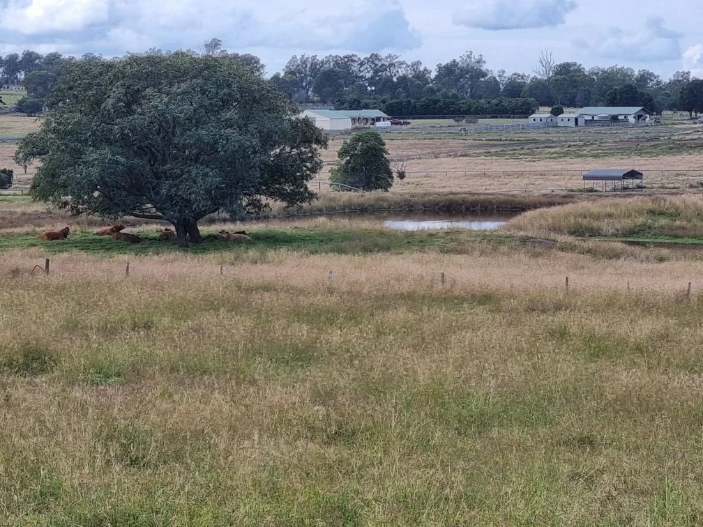 Additional image 5 of 167 Linnings Rd, Haigslea QLD 4306