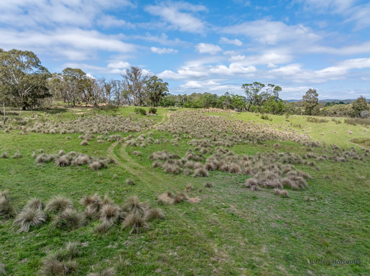 Additional image 12 of 1130 Majors Creek Road, Braidwood NSW 2622