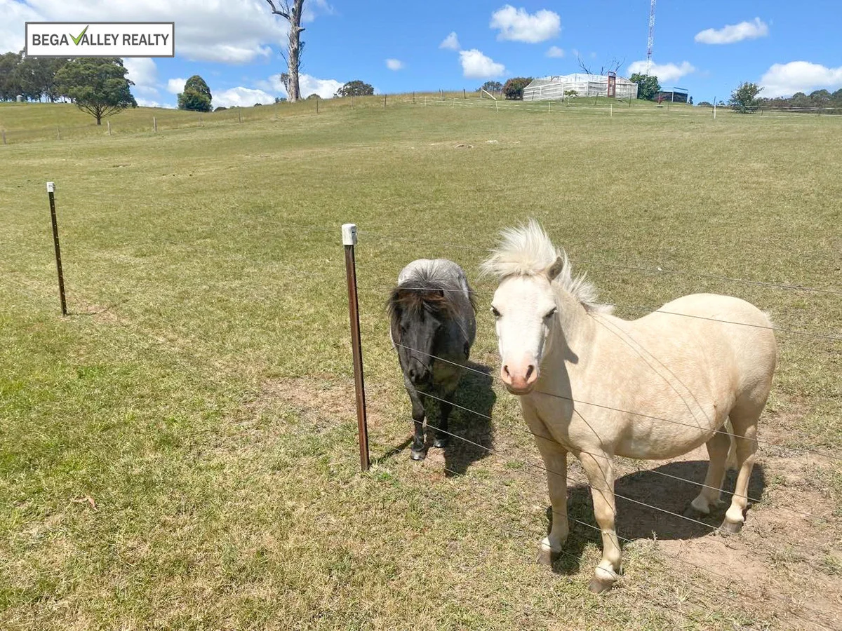 Additional image 44 of 9 Box Close, Bega NSW 2550