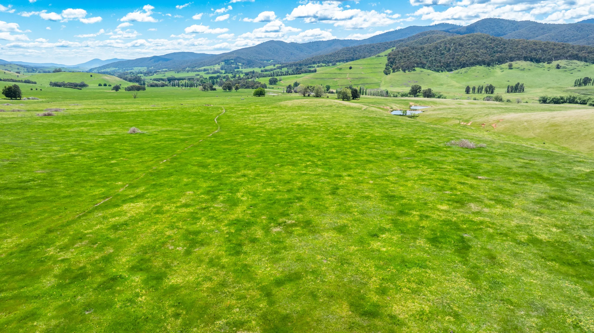 Additional image 18 of 'Grassmere'/2485 Tallangatta Creek Rd, Tallangatta Valley VIC 3701