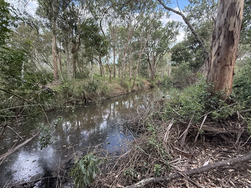 Additional image 3 of Lot 412 Grey Street, Nanango QLD 4615