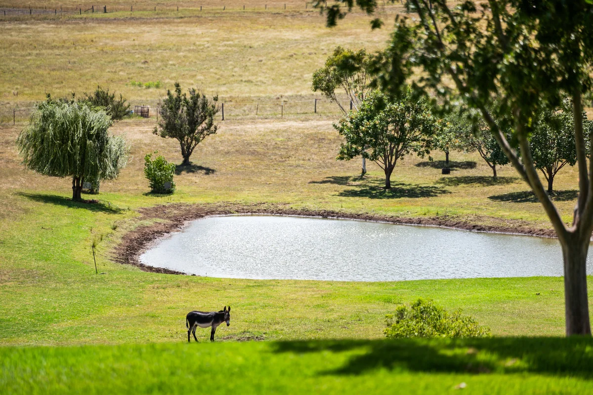 Additional image 13 of 385 Hodgson Vale Road, Hodgson Vale QLD 4352