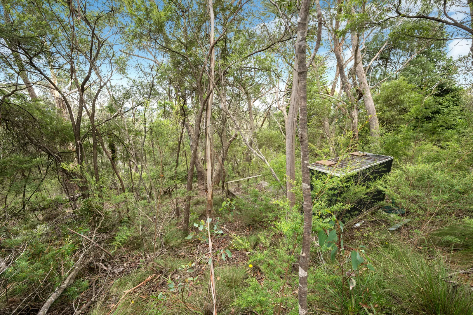 Additional image 6 of 42 Sylvania Street, Mount Victoria NSW 2786