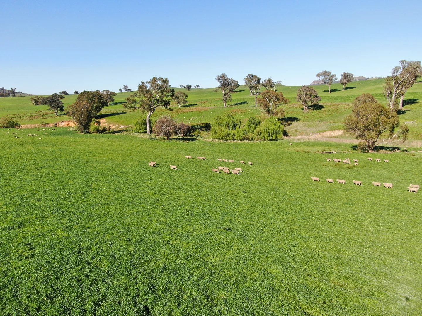 Additional image 7 of Holbrook NSW 2644