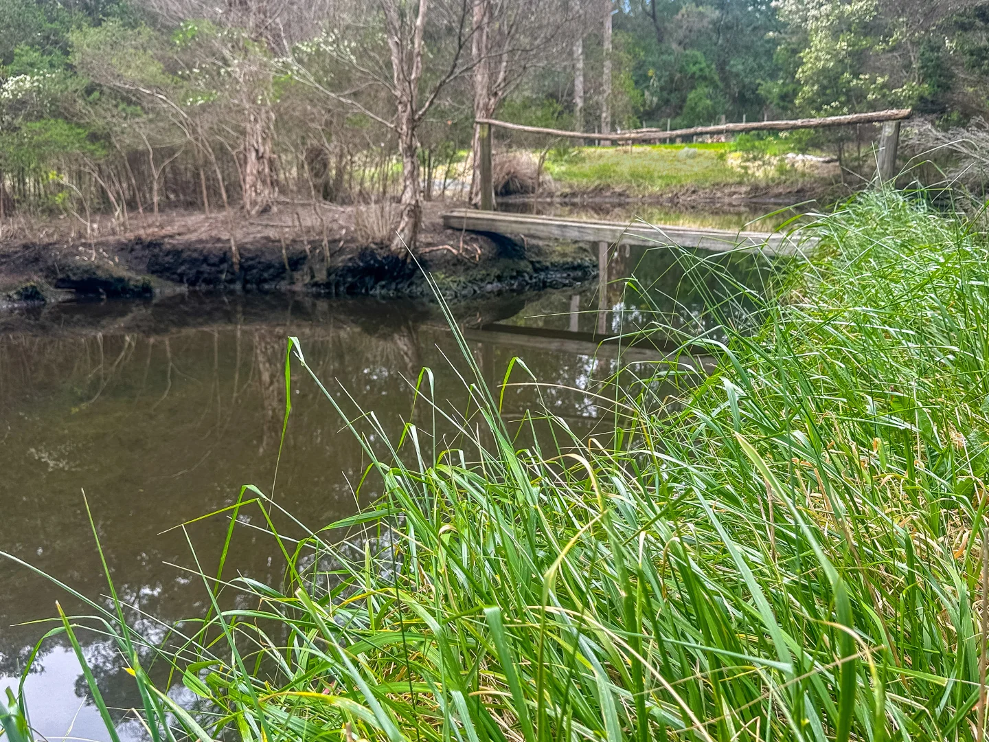 Additional image 16 of Lot 1 Binalong Bay Road, St Helens TAS 7216