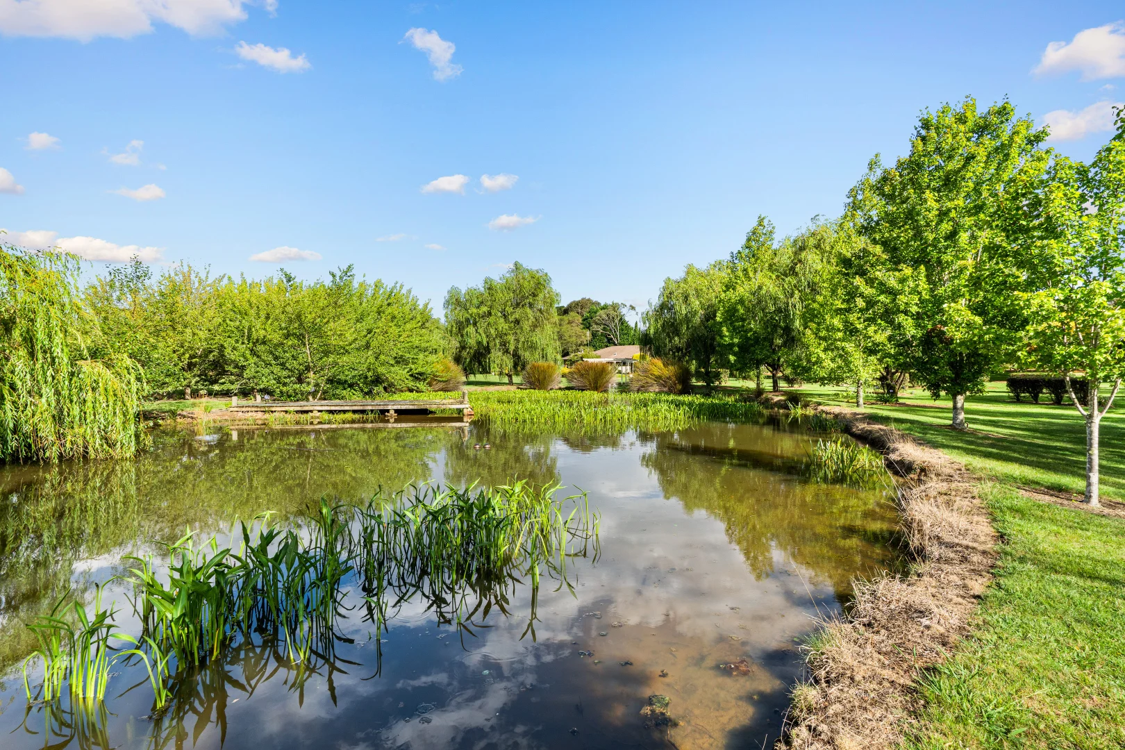 Additional image 21 of 36 Cornwall Road, Exeter NSW 2579