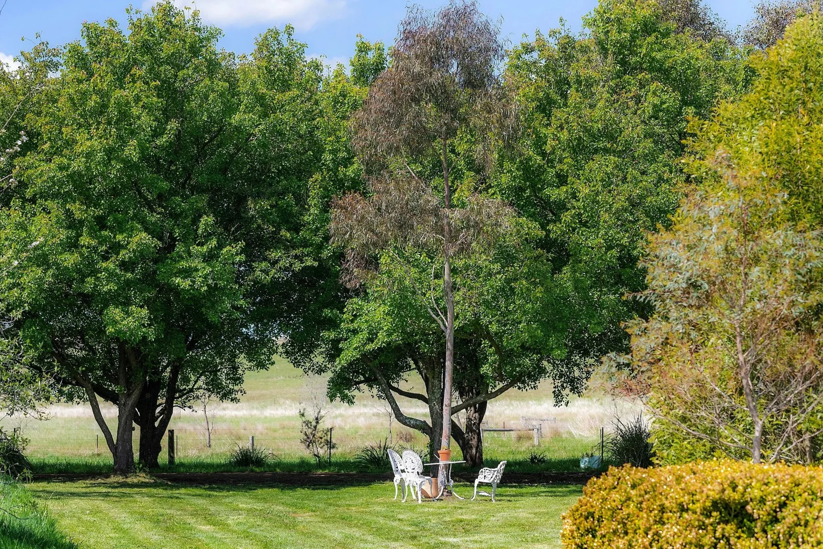 Additional image 14 of 138 Bibbys Lane, Werai NSW 2577