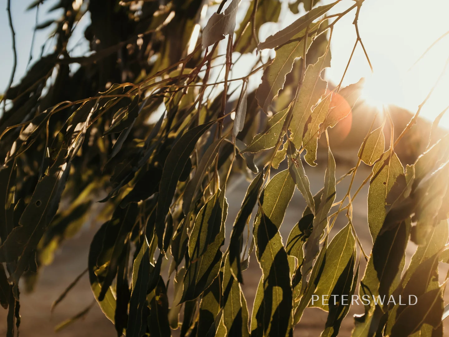 Additional image 7 of 8/449-471 Rockmount Road, Ellendale TAS 7140