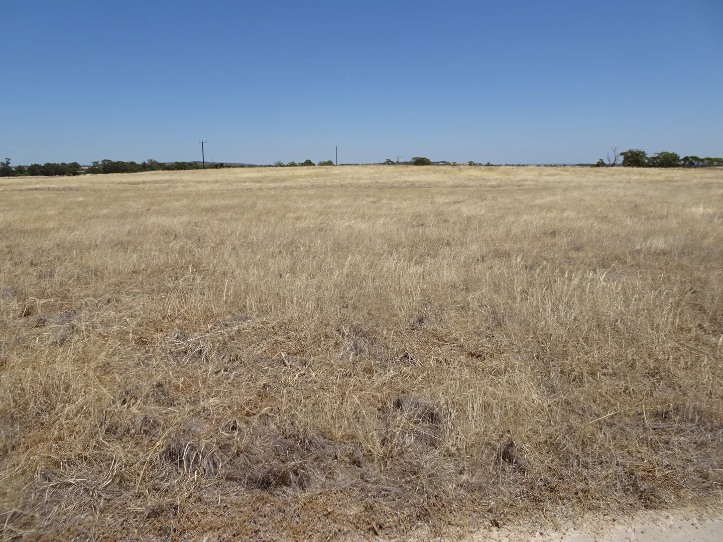 Additional image 2 of 160 Chittleborough Road, Brookton WA 6306