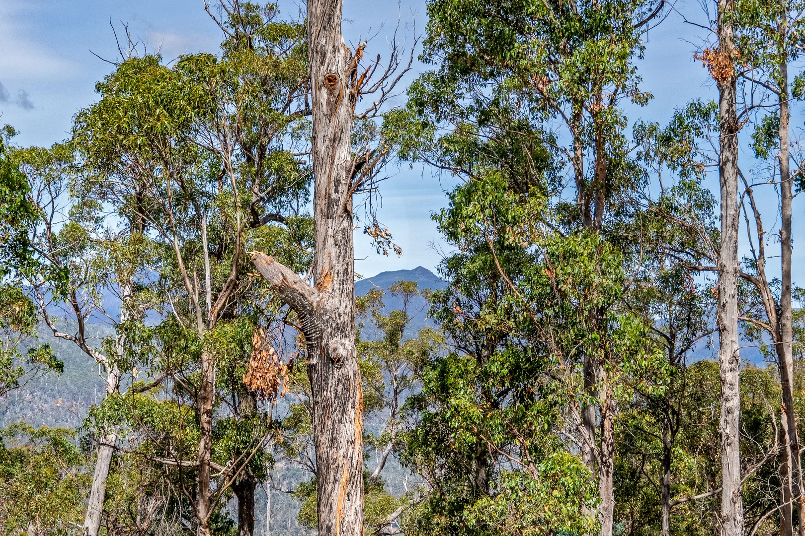 Additional image 32 of 1 Douglas Road, Molesworth TAS 7140