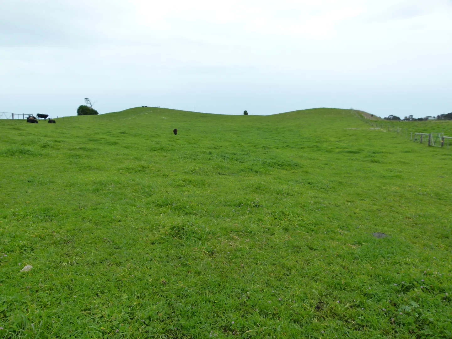 Additional image 4 of 1683 Canunda Frontage Road, Tantanoola SA 5280