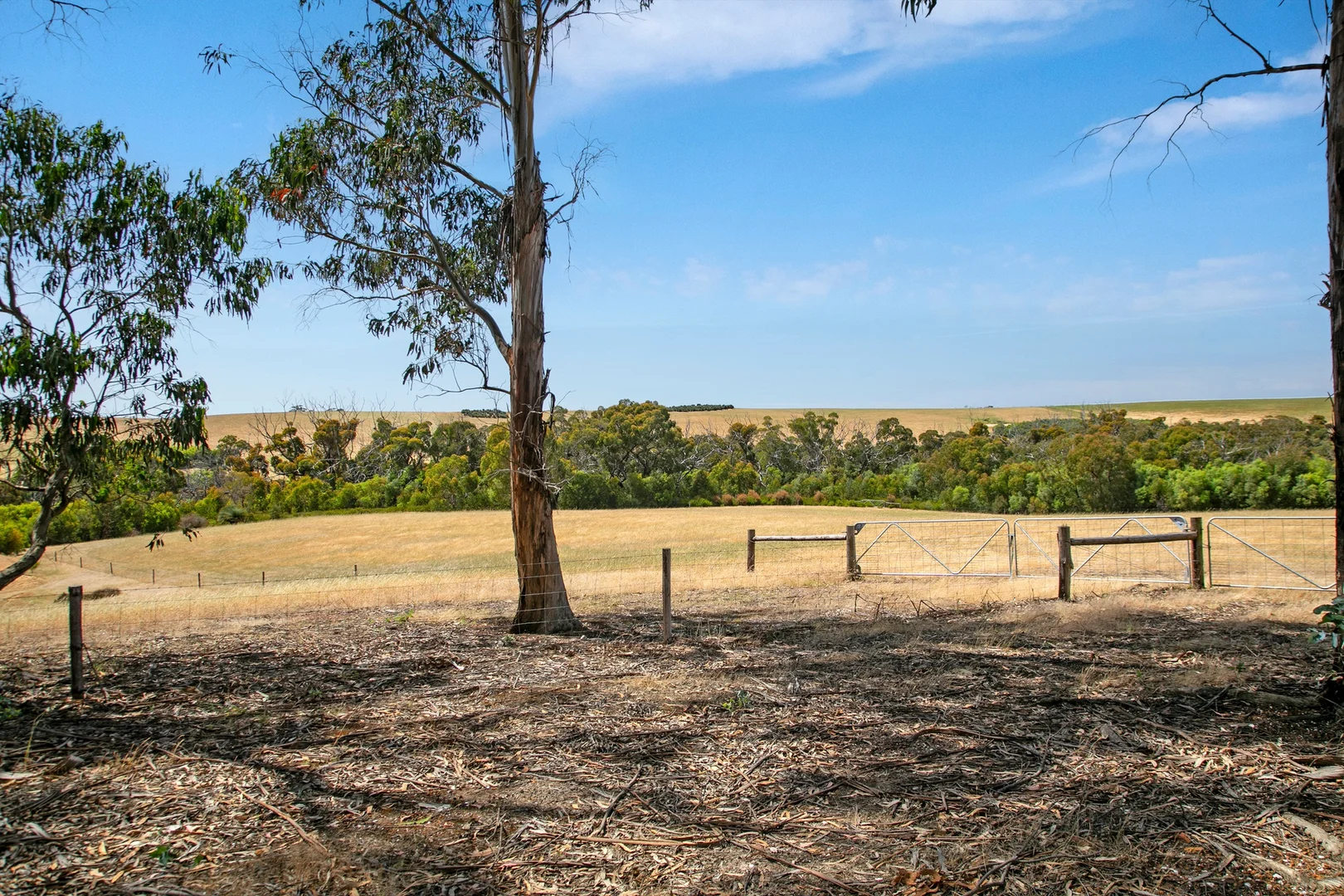 Additional image 19 of 157 Berrymans Road, Gosse SA 5223