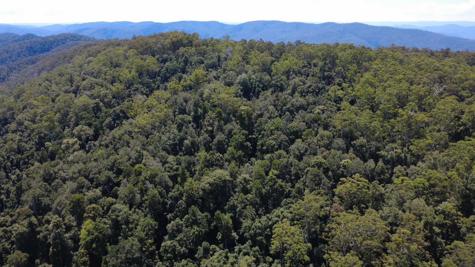 Additional image 14 of Baxters Ridge Road, Gloucester NSW 2422