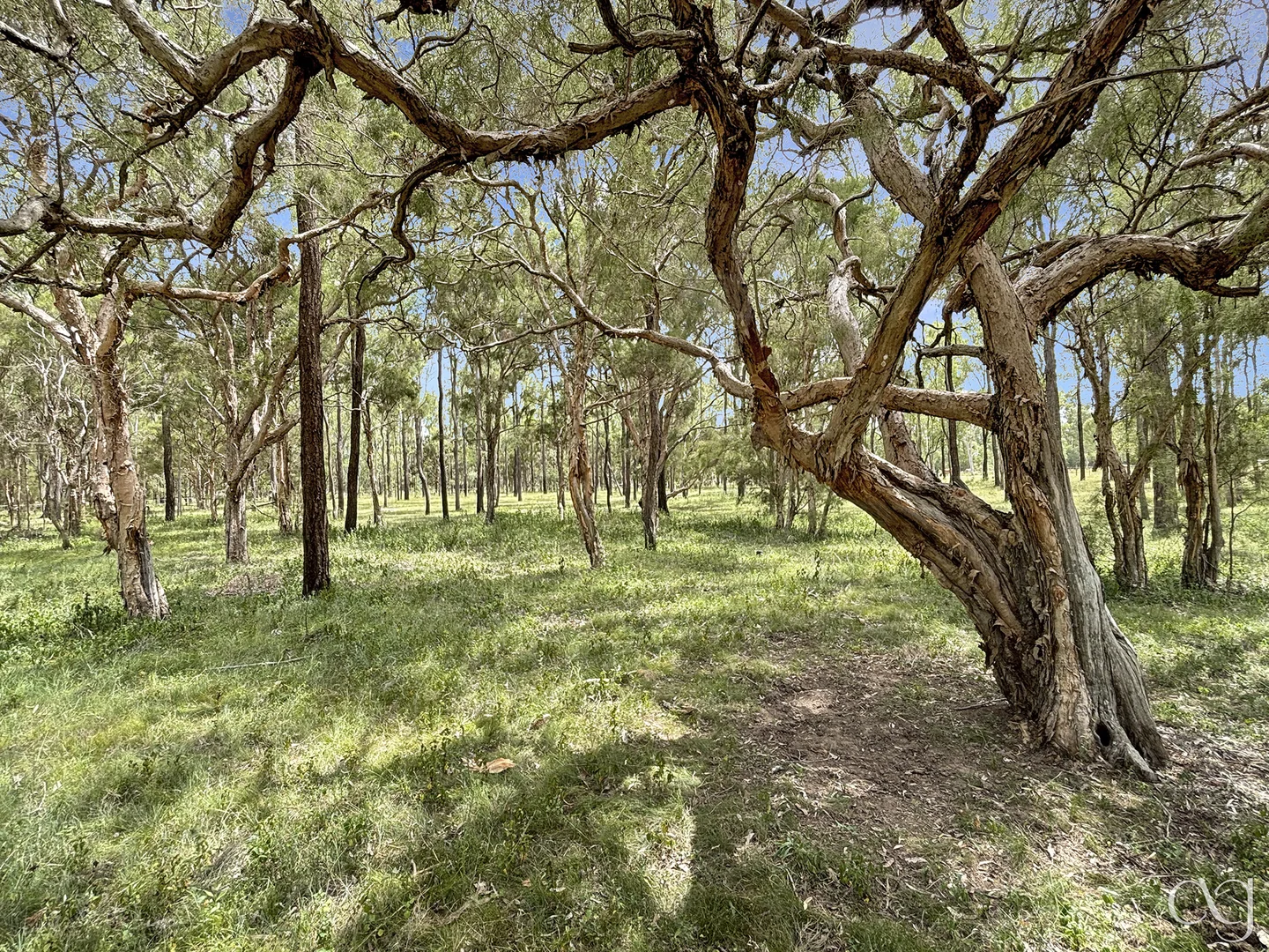 Additional image 42 of 91 Goebels Road, Mutdapilly QLD 4307