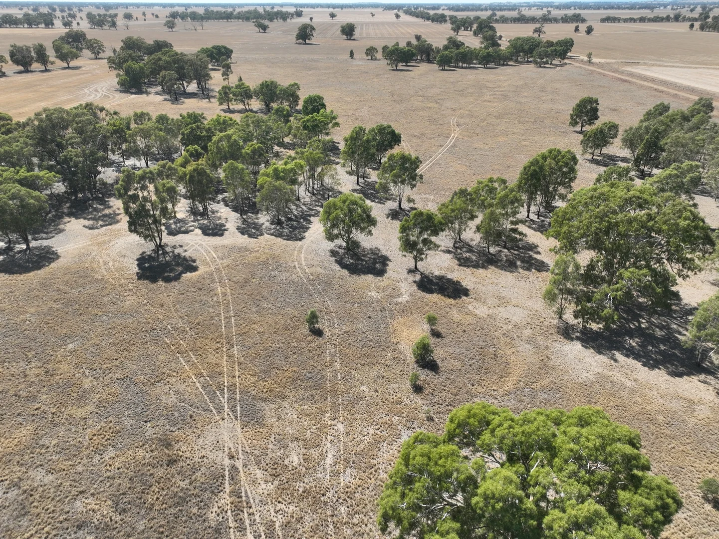 Additional image 3 of 1943 Invergordon Road, Youanmite VIC 3646