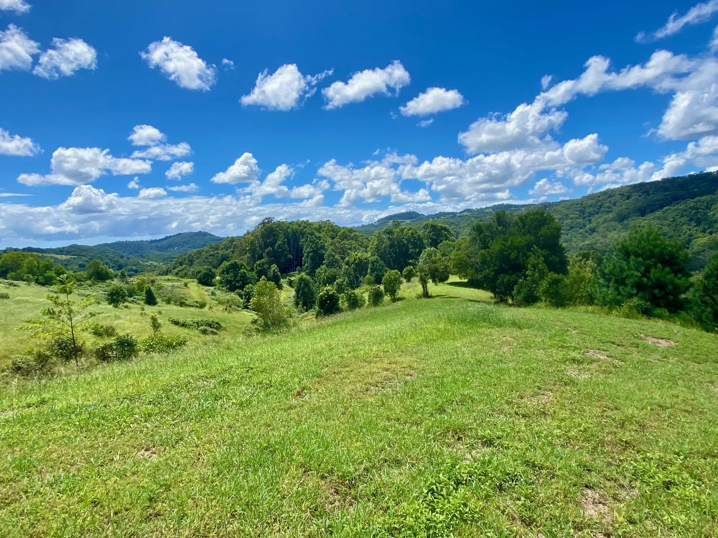 Additional image 26 of 1318 Currumbin Creek Road, Currumbin Valley QLD 4223