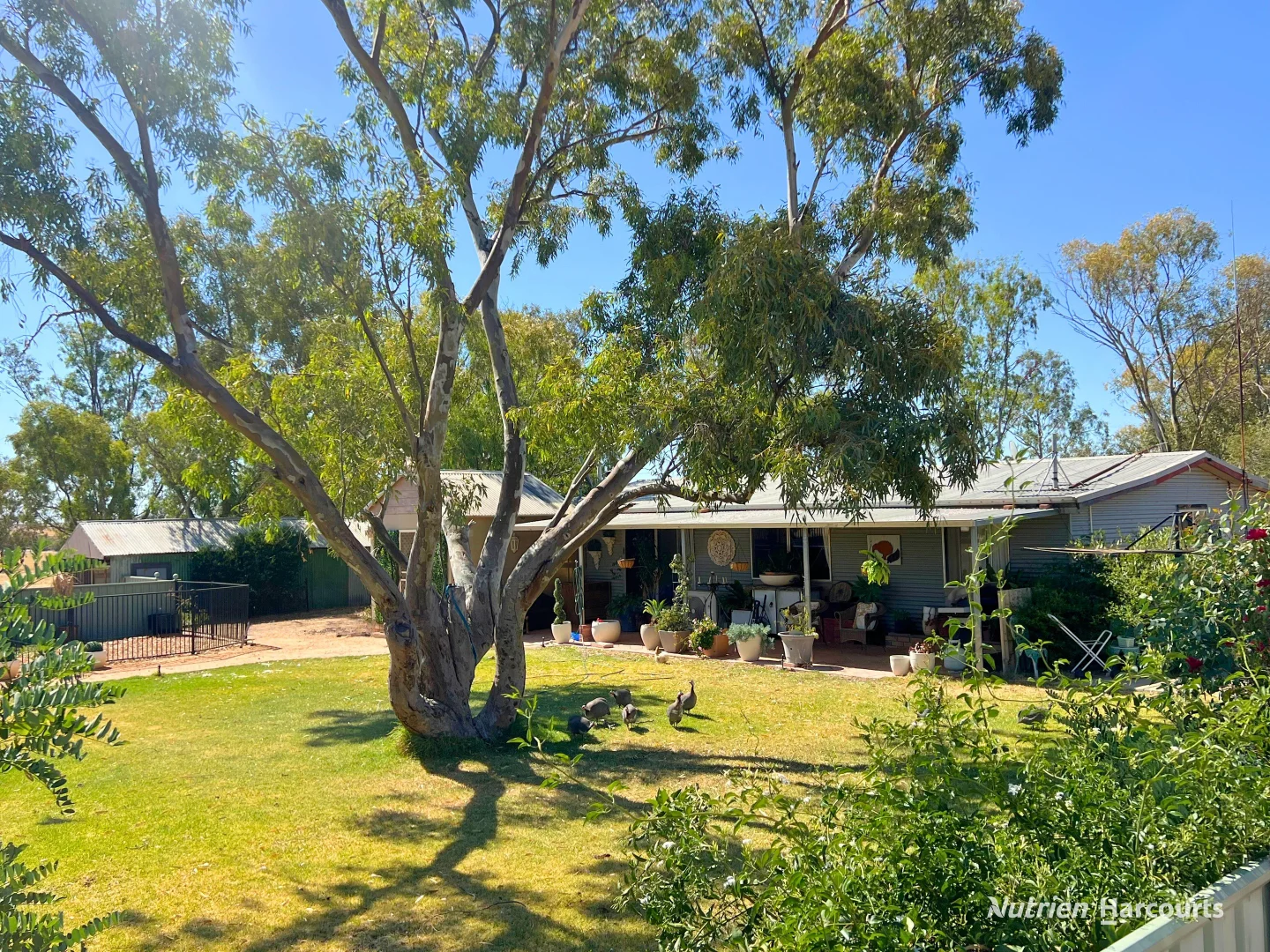 Additional image 12 of 3136 Billericay Road, Karlgarin WA 6358