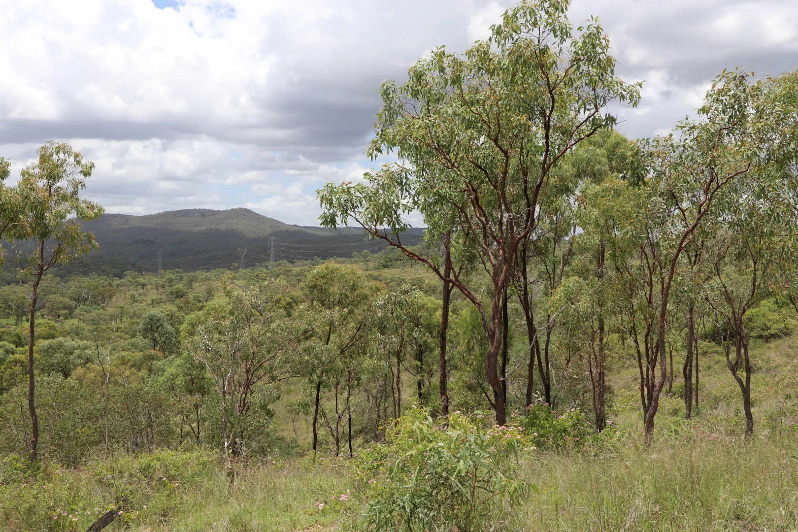 Additional image 18 of 890 Boulder Creek Rd, Boulder Creek QLD 4714