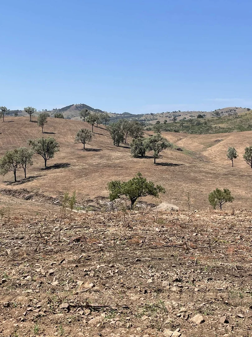 Additional image 33 of Lot 9 Silver Spur Redgate Road, Silver Spur QLD 4385