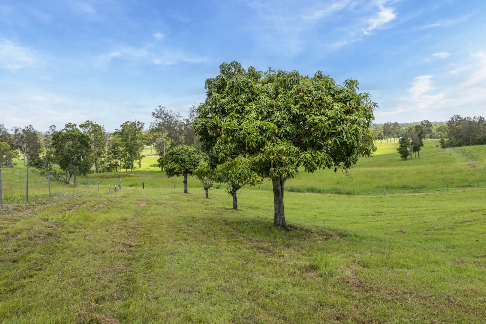 Additional image 11 of 240 Keefton Road, Woondum QLD 4570