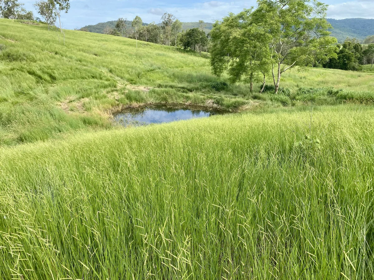 Additional image 10 of 558 Marlborough-Sarina Road, Sarina QLD 4737