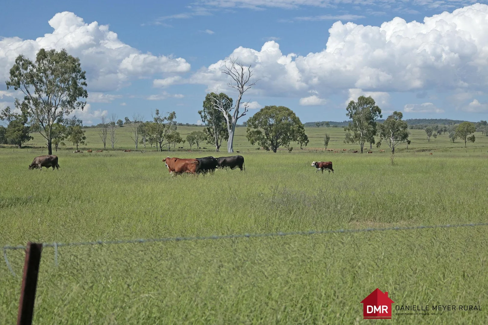 Additional image 8 of 95 Monto Mount Perry Road, Tellebang QLD 4630