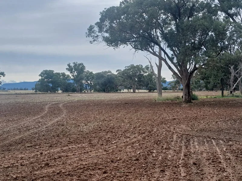 Additional image 15 of Tooraweenah NSW 2817