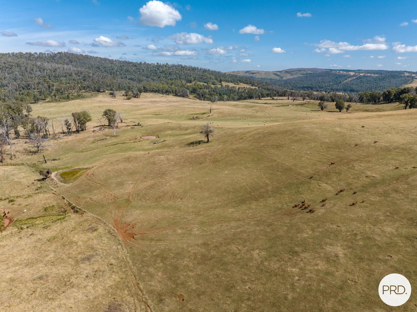 Additional image 18 of 1100 Batlow Road, Tumbarumba NSW 2653