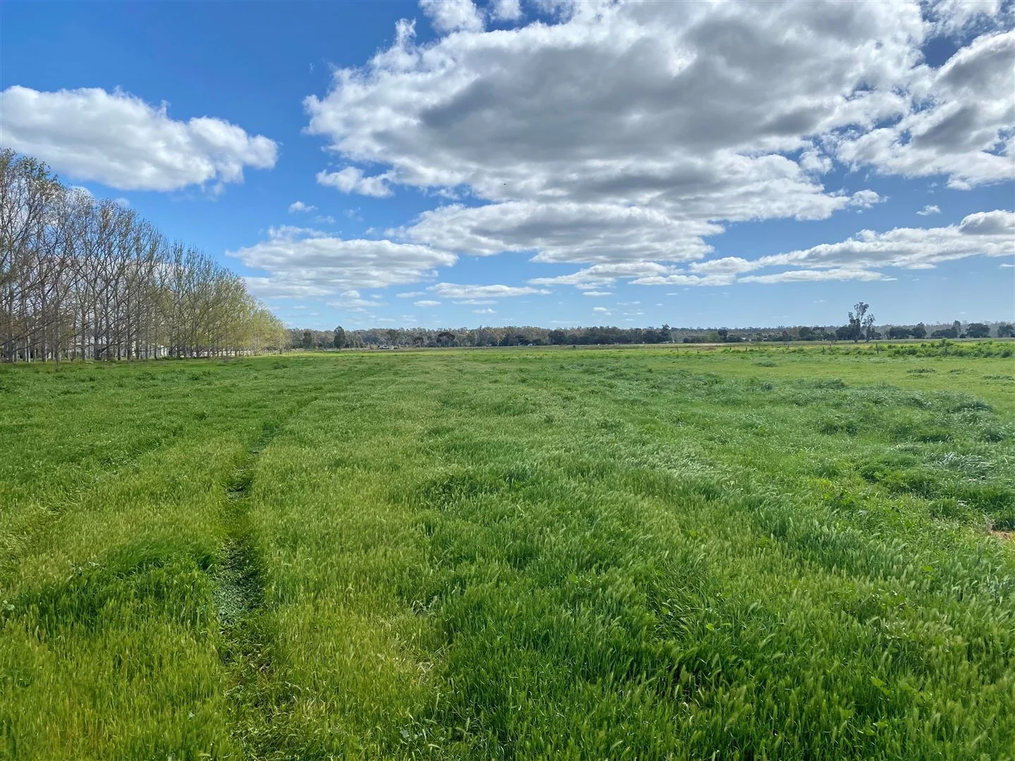 Additional image 4 of Lot 9,10,11,12 Glenview Drive, Barham NSW 2732