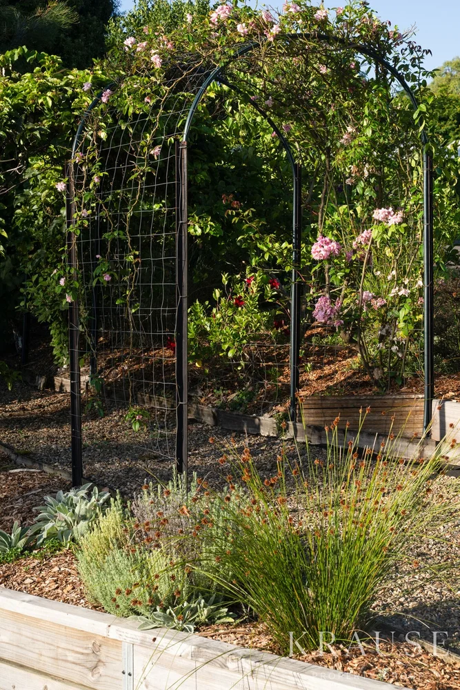 Additional image 35 of 16 Callistemon Court, Maroochy River QLD 4561