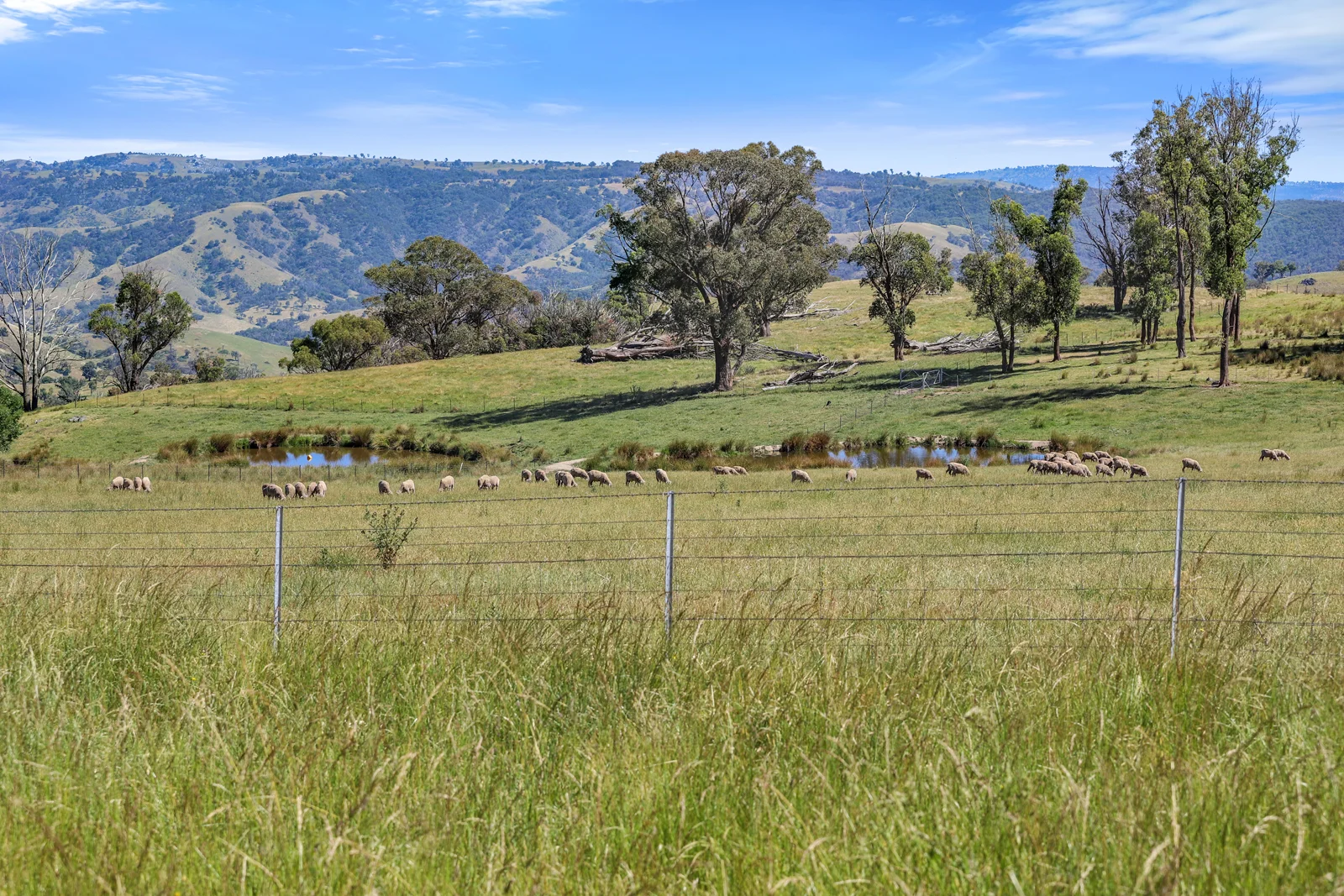 Additional image 28 of "Arawa" 2388 Campfire Road, Walcha NSW 2354