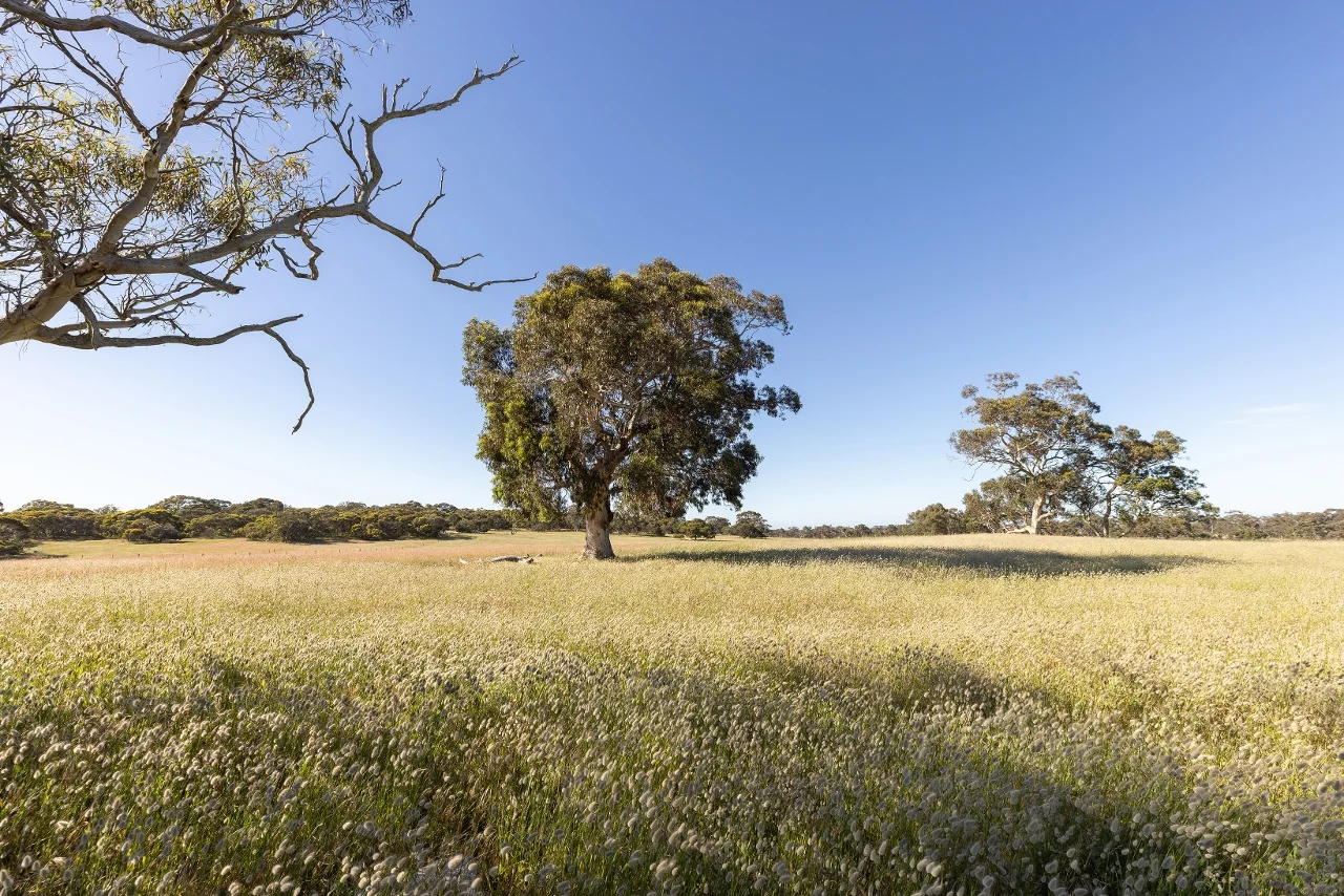 Additional image 9 of 1112 Minnie Crowe Road, Avenue Range SA 5273