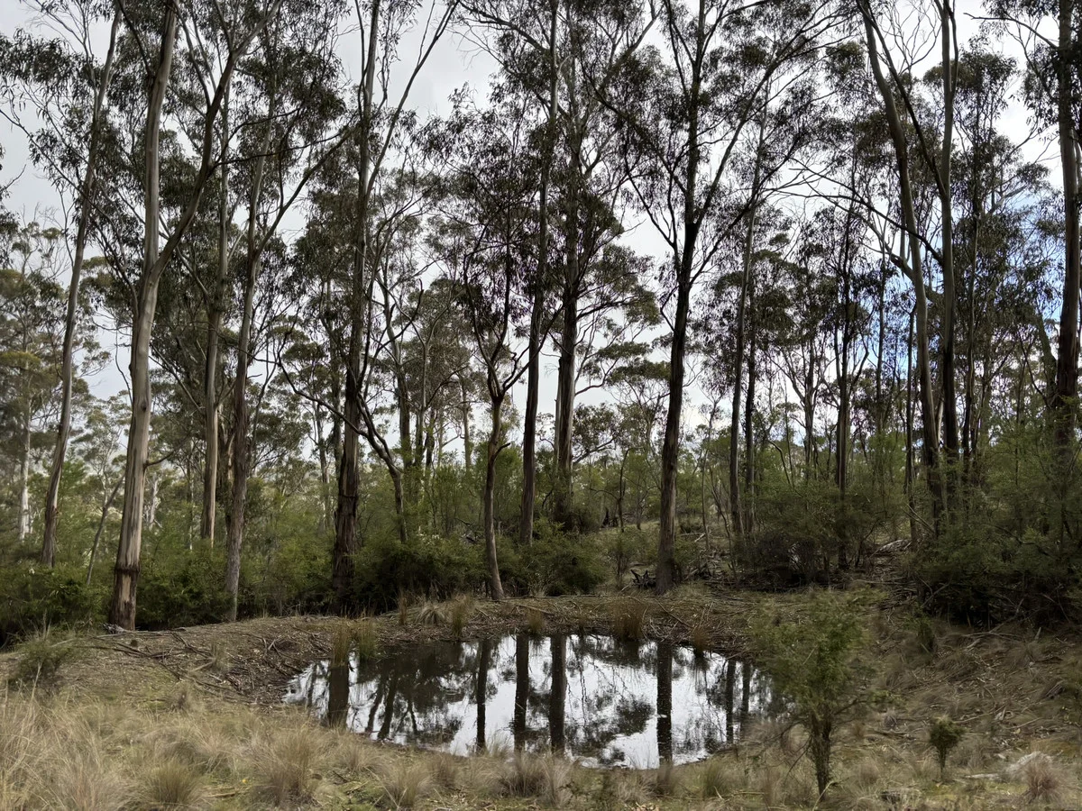 Additional image 20 of Leprena Road, Orielton TAS 7172