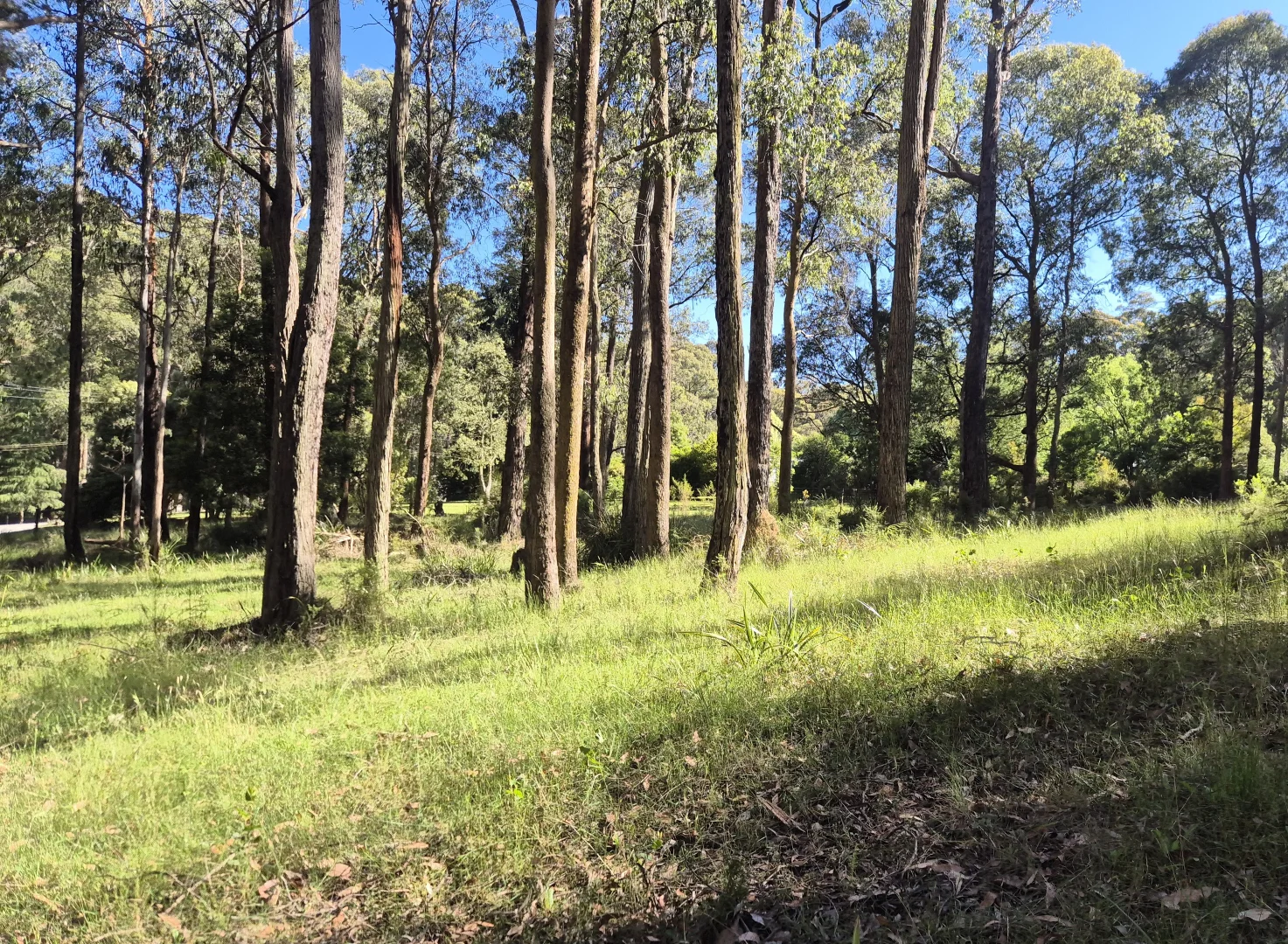 Additional image 3 of 22 Fisherman Drive, Reefton VIC 3799