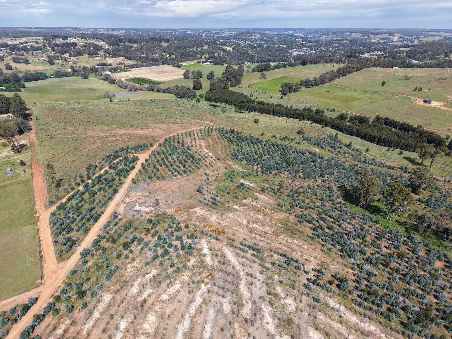 Additional image 5 of Lot 1251 Peninsula Road, Bridgetown WA 6255