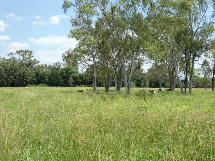 Additional image 31 of 1097 Blackman Gap Road, Colosseum QLD 4677