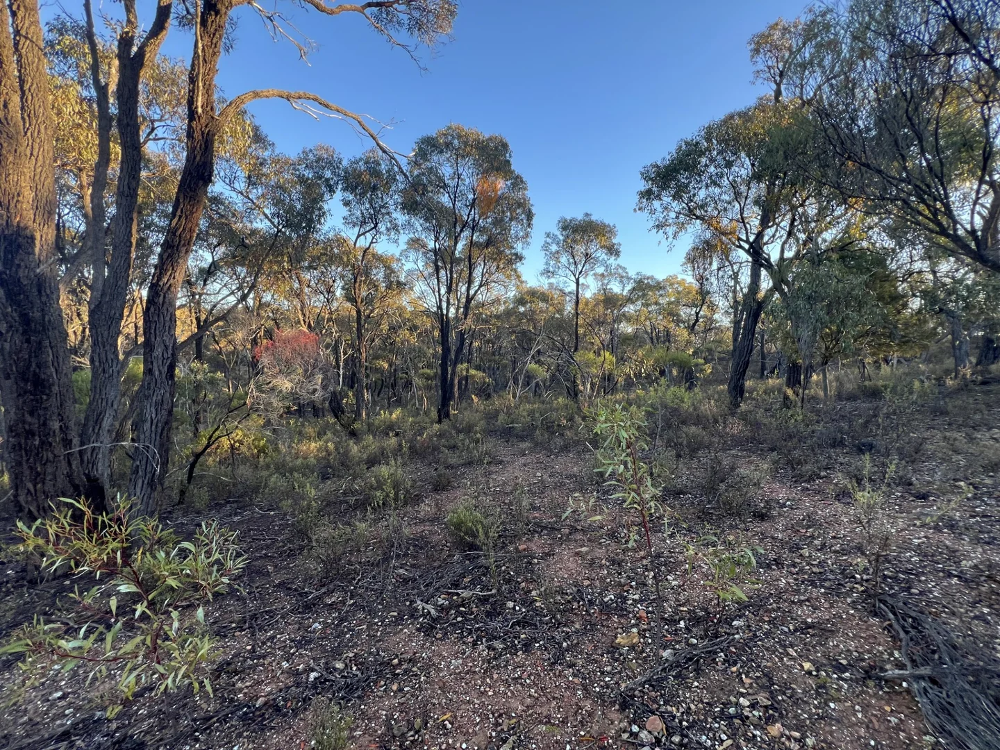 Additional image 13 of 373 Josephine Drive, Wedderburn VIC 3518