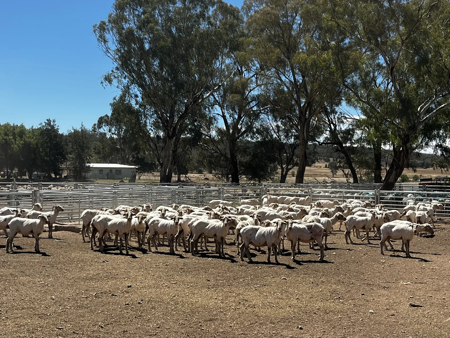 Additional image 23 of Address Via Request Road, Grenfell NSW 2810