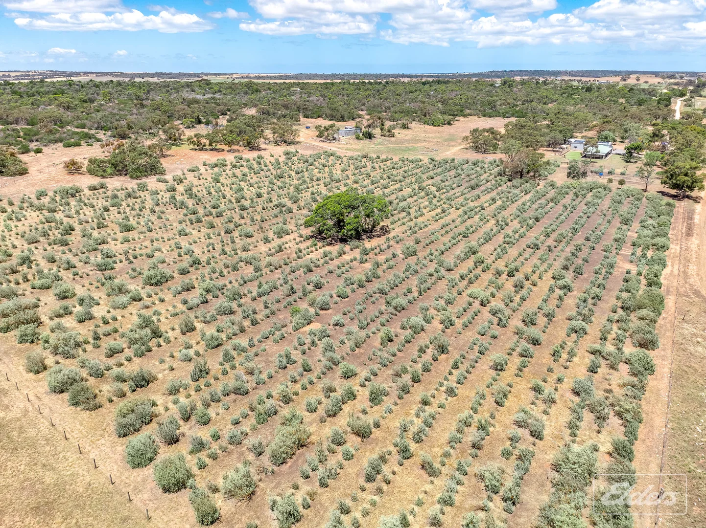 Additional image 29 of 775C North Bremer Road, Hartley SA 5255