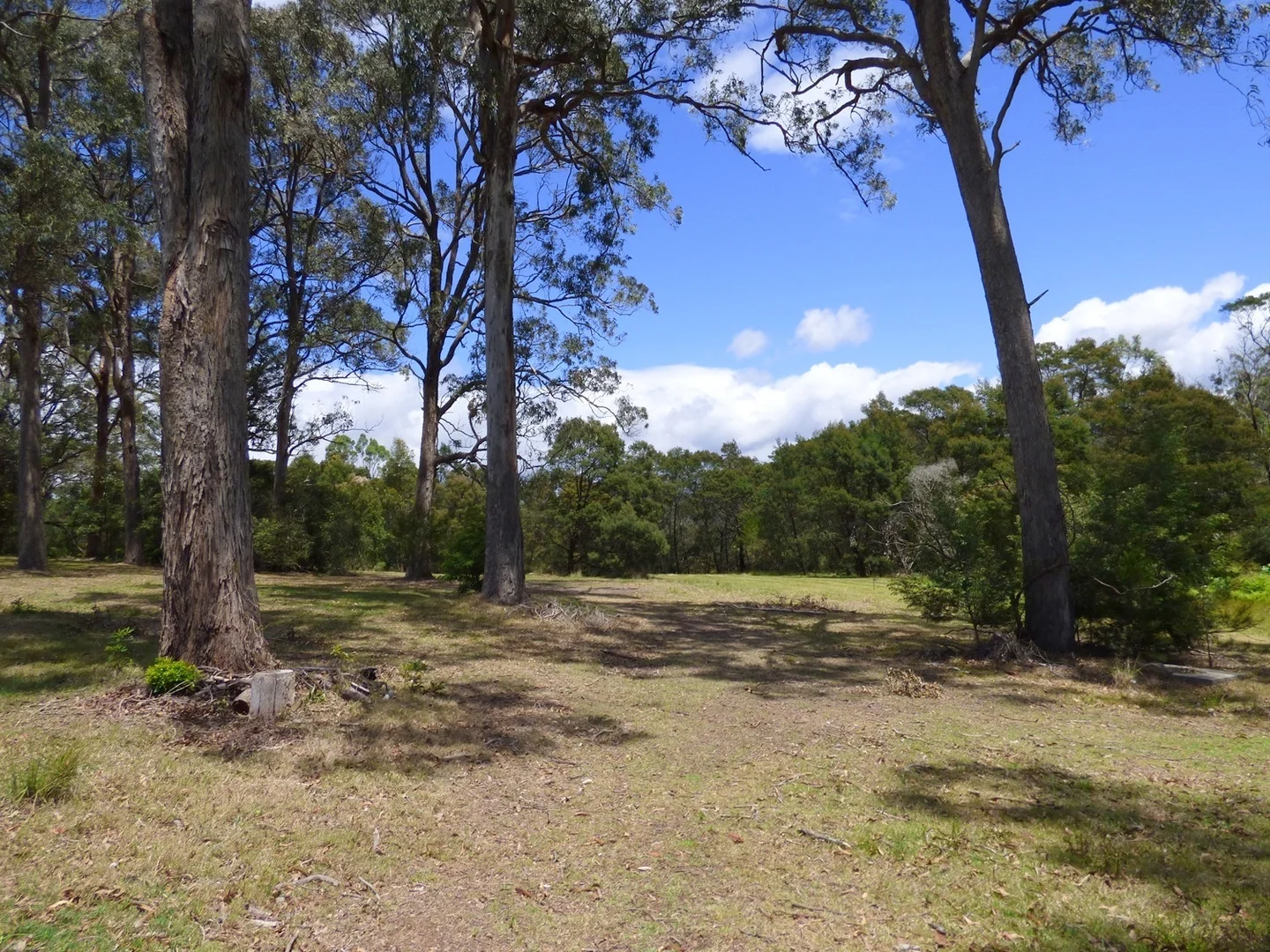 Additional image 7 of 3 Kingfisher Cct, Eden NSW 2551