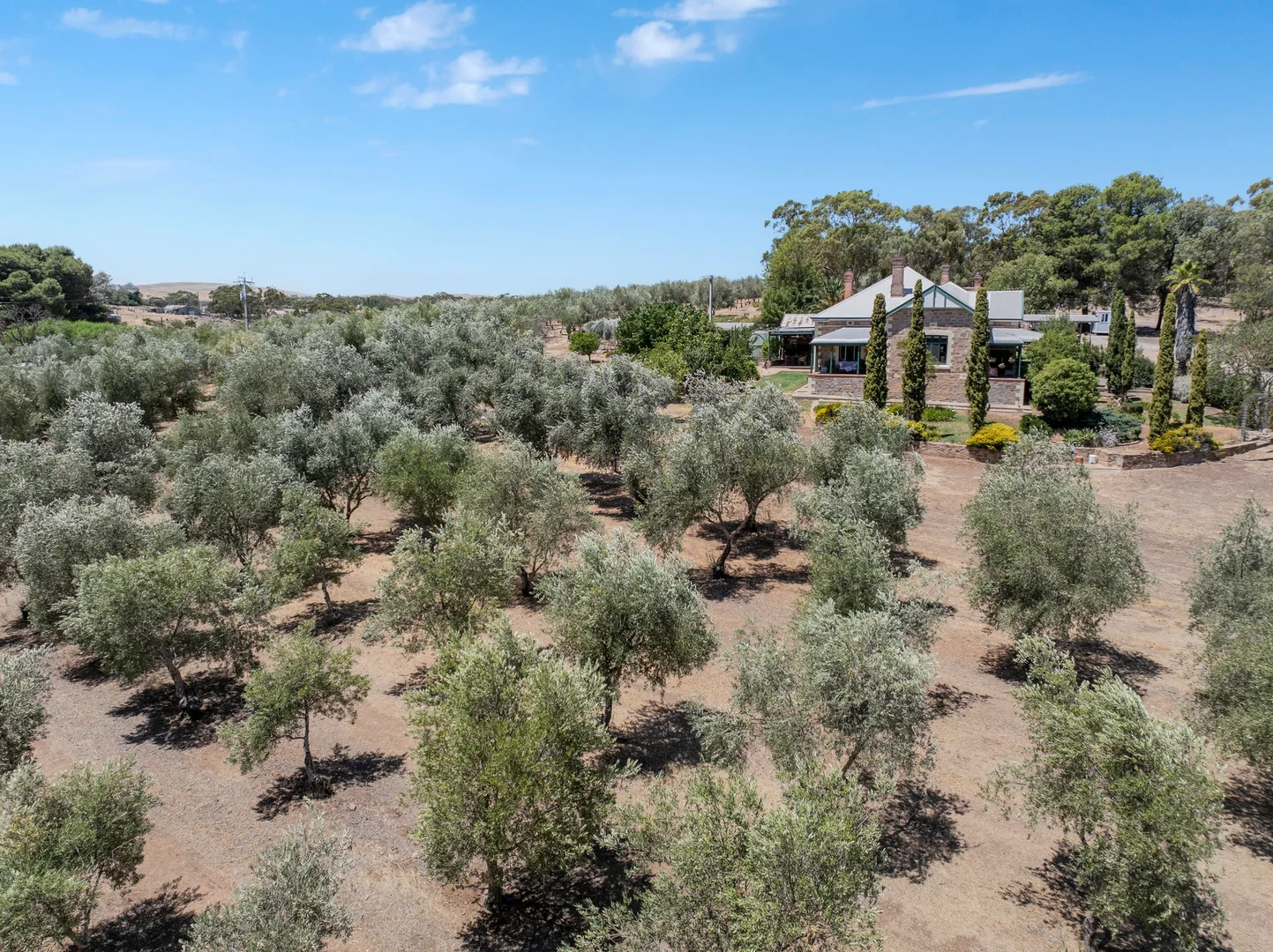 Additional image 30 of 134 Farrell Flat Road, Clare SA 5453