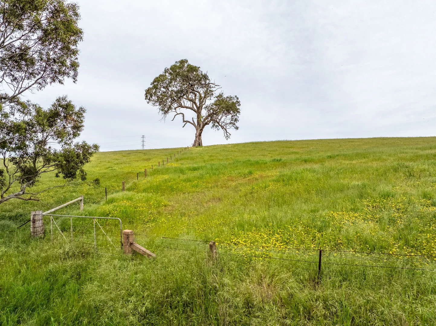 Additional image 21 of 312 Collins Road, Tungkillo SA 5236