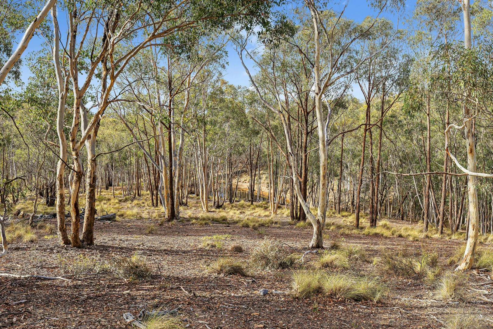 Additional image 2 of 1/188 Butts Road, Murrumbateman NSW 2582