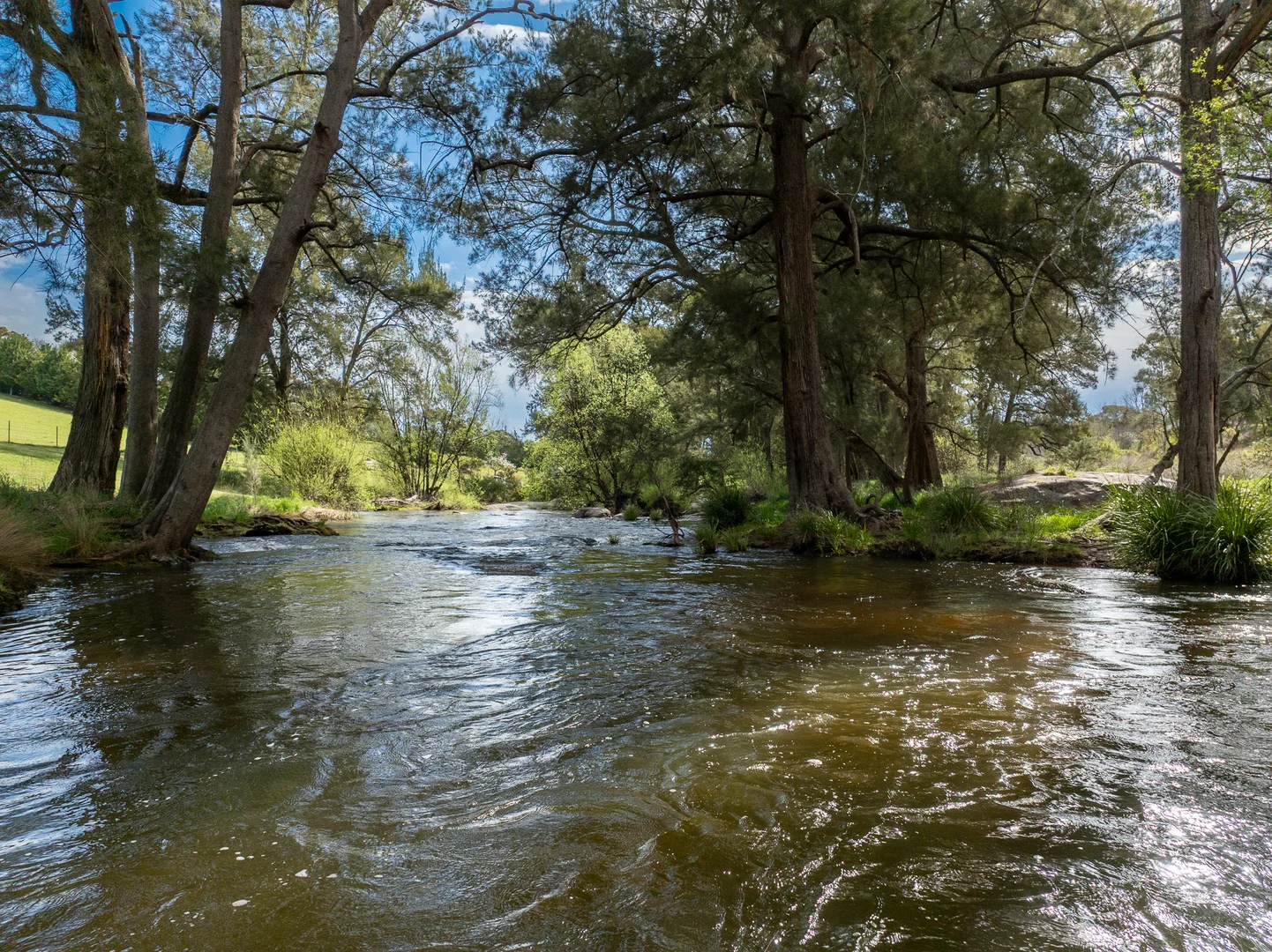 Additional image 22 of 1712 Hazelgrove Road, Tarana NSW 2787