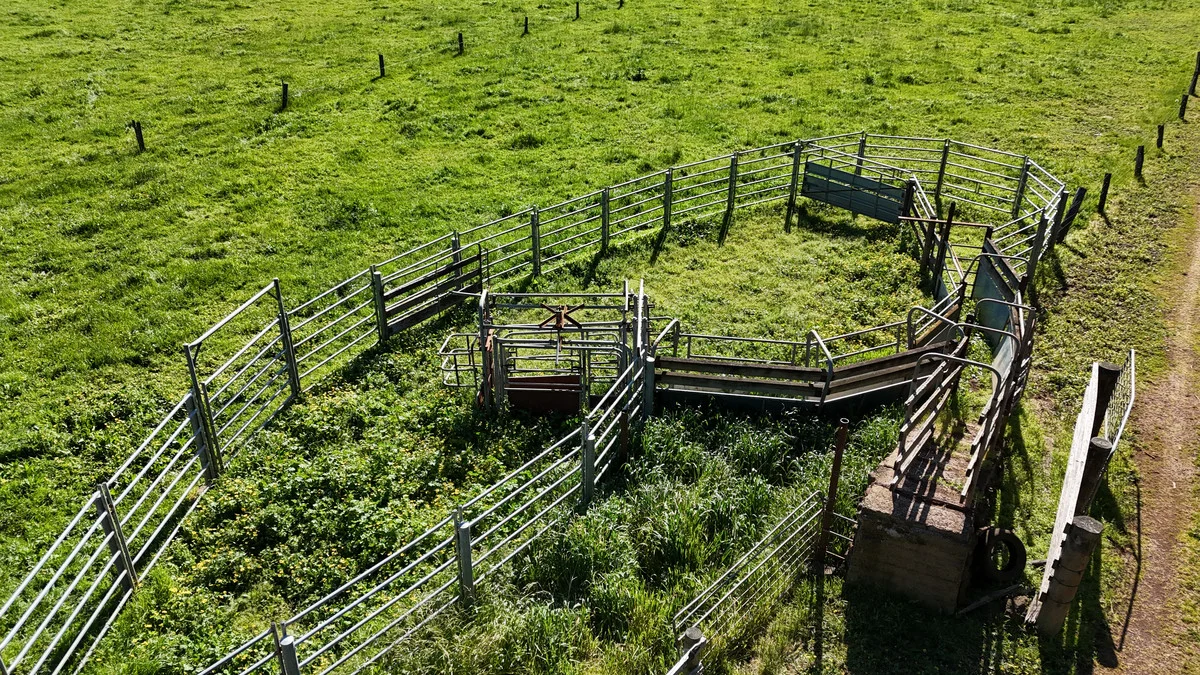 Additional image 13 of 61 Purrumbete Estate Road, Koallah VIC 3260