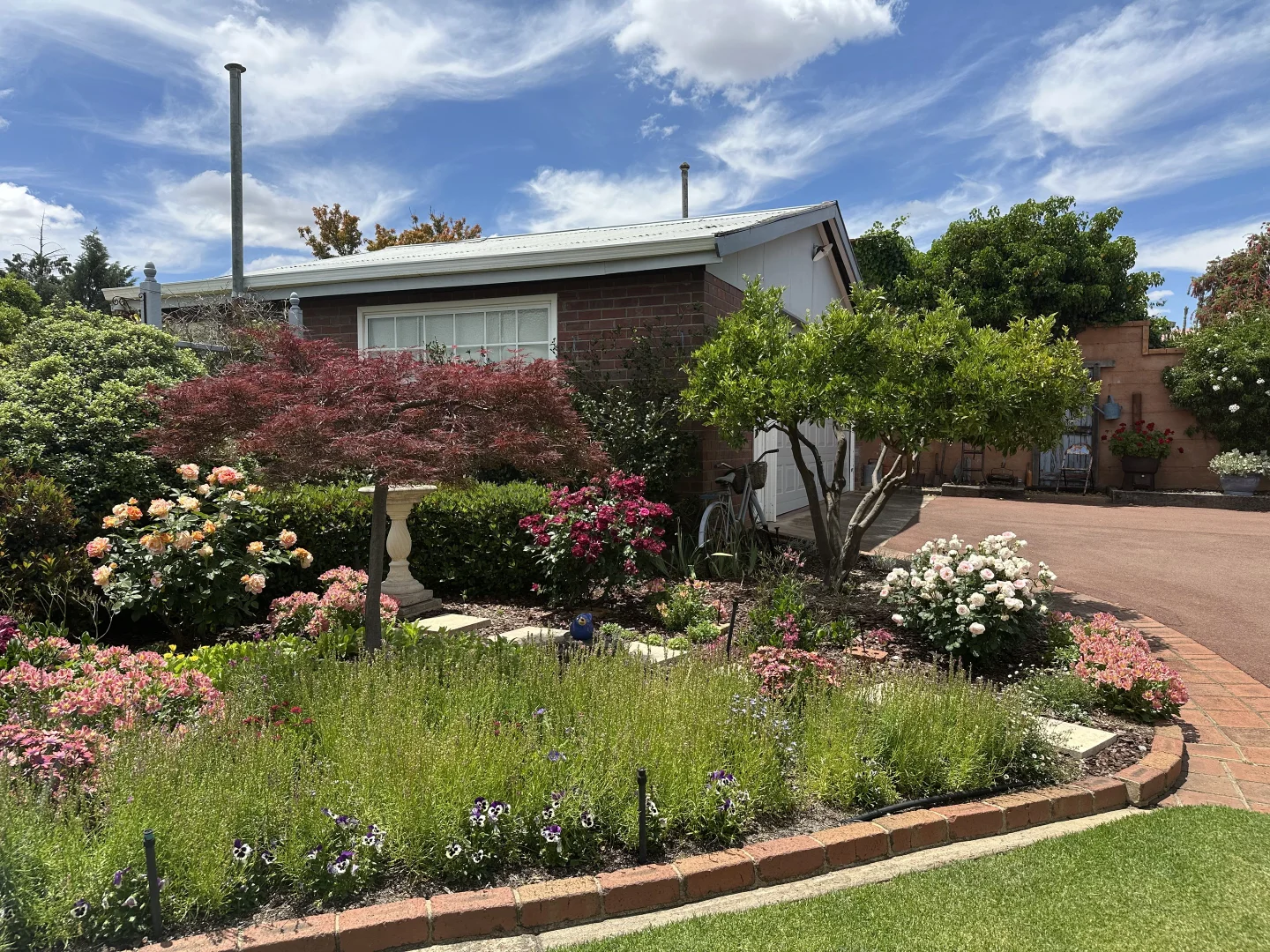 Additional image 61 of 7 Ware Street, Wagin WA 6315