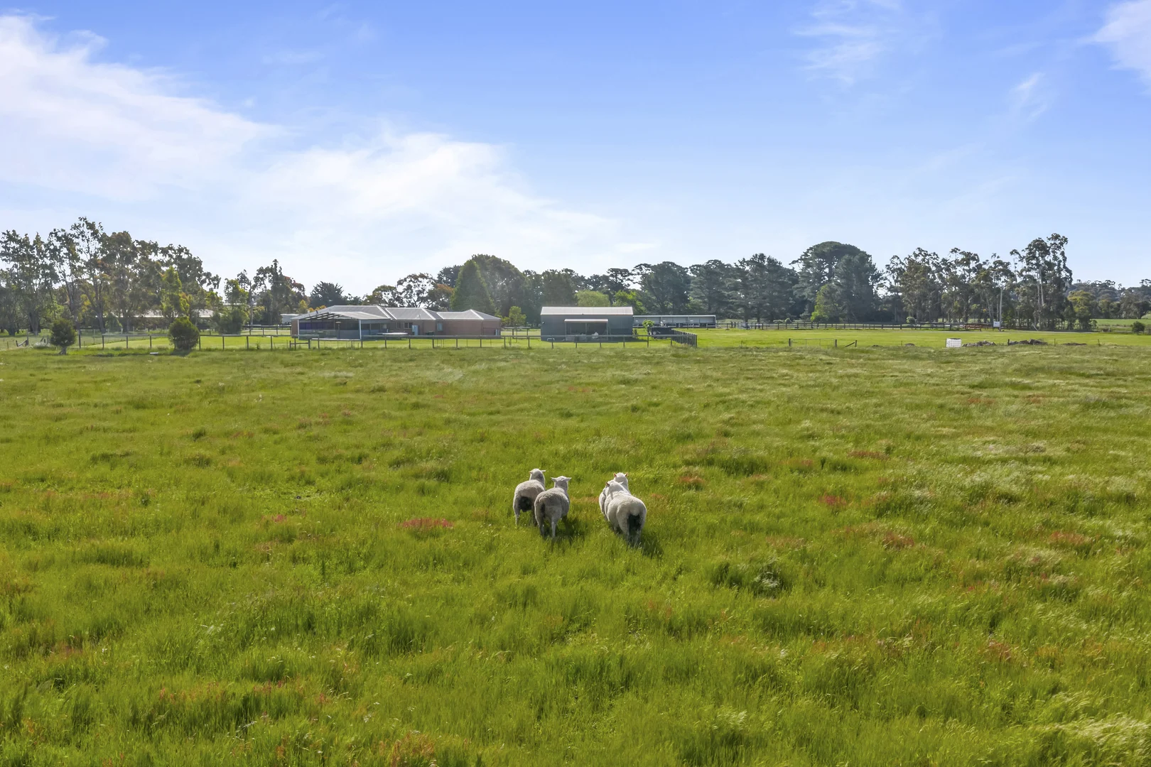 Additional image 23 of 9 Highfield Road, Mitchell Park VIC 3355