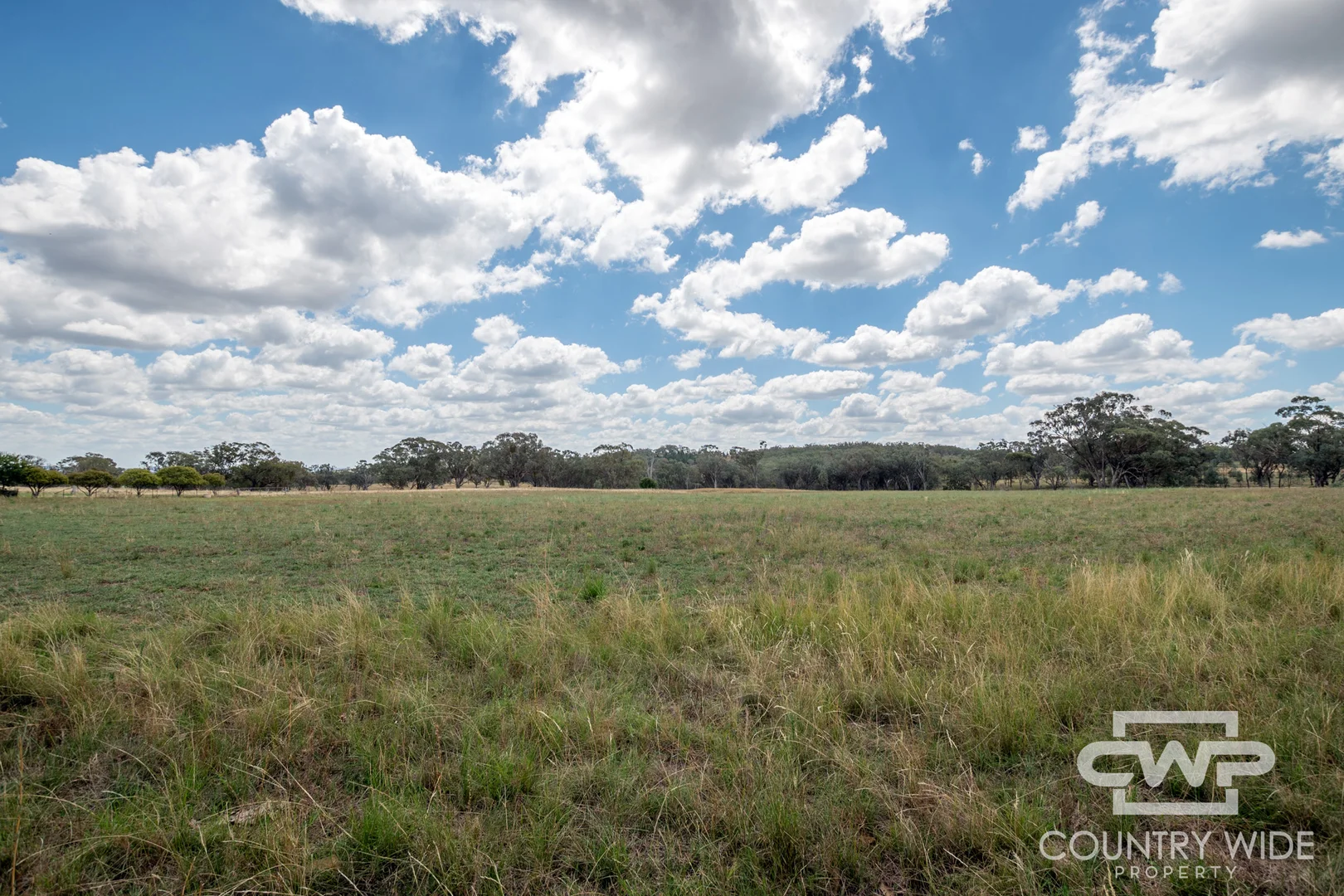 Additional image 6 of 1975 Nullamanna Road, Inverell NSW 2360