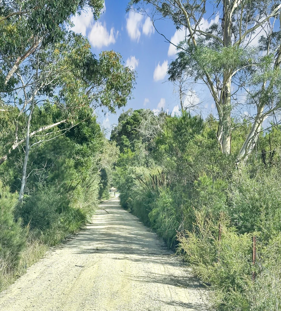 Additional image 30 of 5 Long Hill Place, St Helens TAS 7216